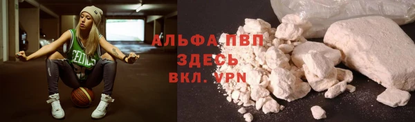 spice Коряжма