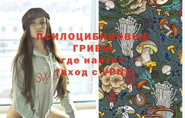 марки nbome Корсаков