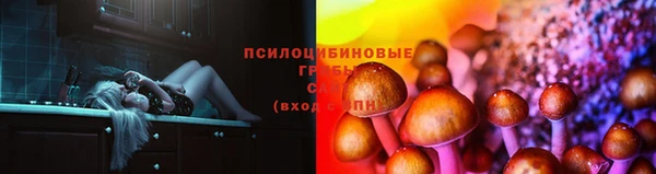 дживик Костерёво