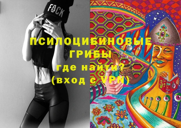эйфоретик Краснослободск