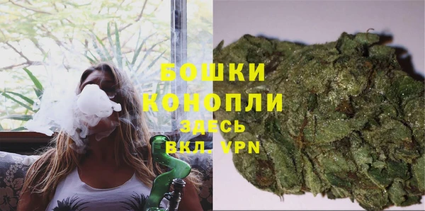 дживик Костерёво