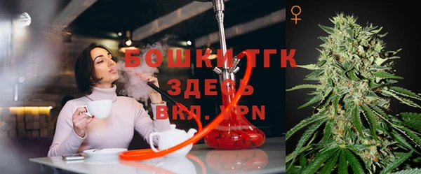 дживик Костерёво