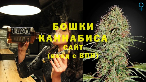 дживик Костерёво