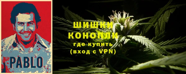 дживик Костерёво