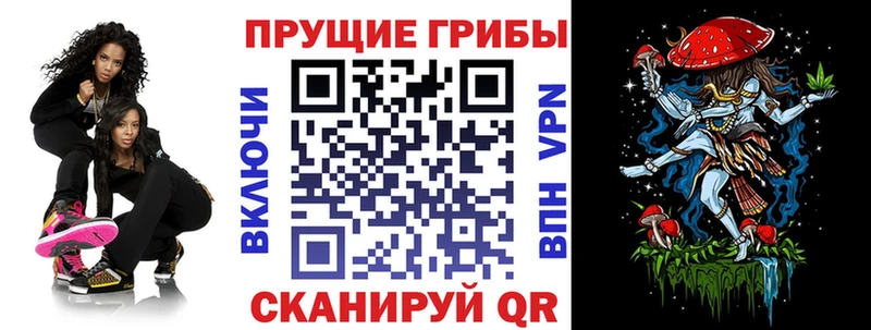 Купить  Белозерск  Псилоцибиновые грибы прущие грибы 